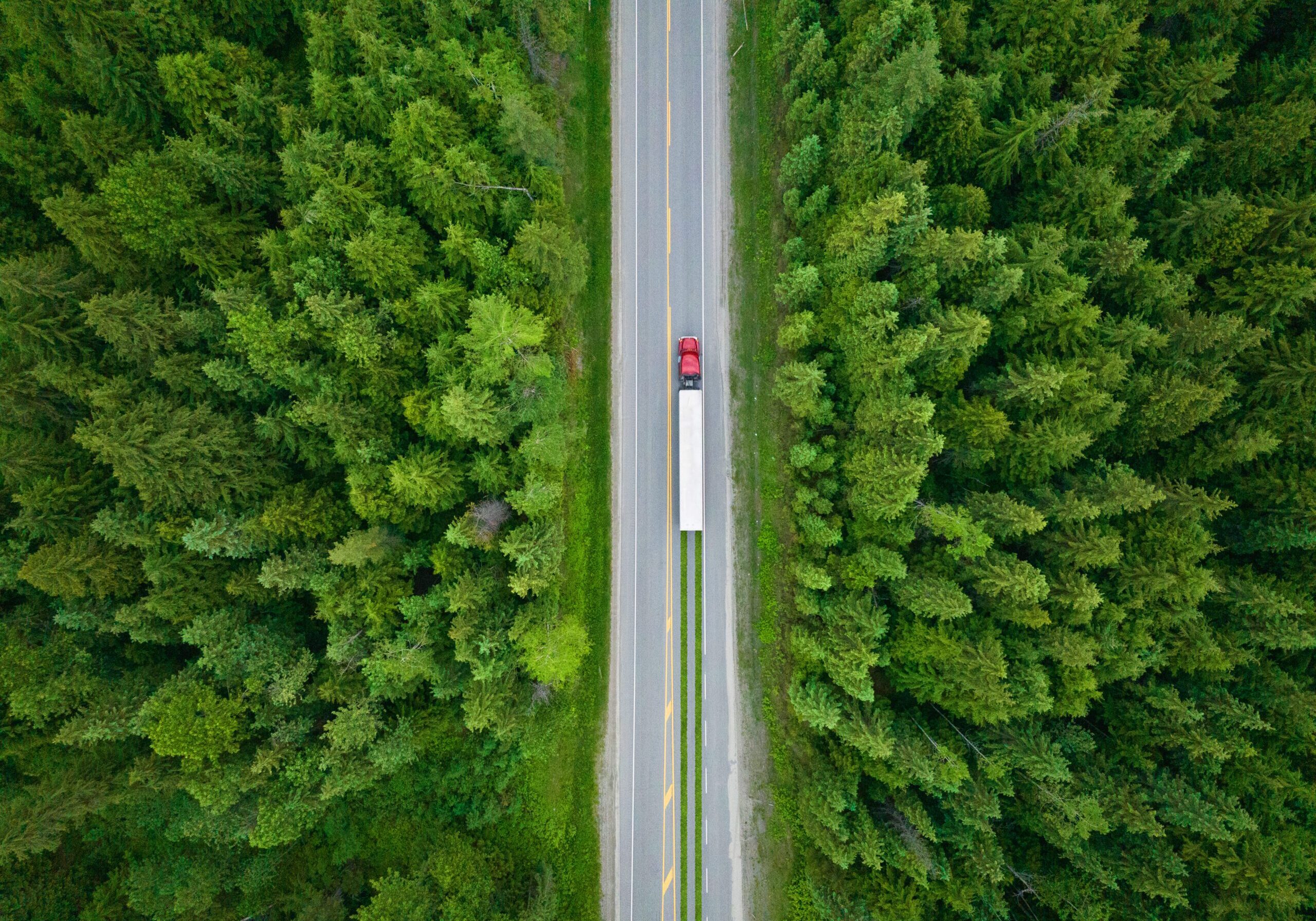Semi Top Down Trees Semi Top Down Trees